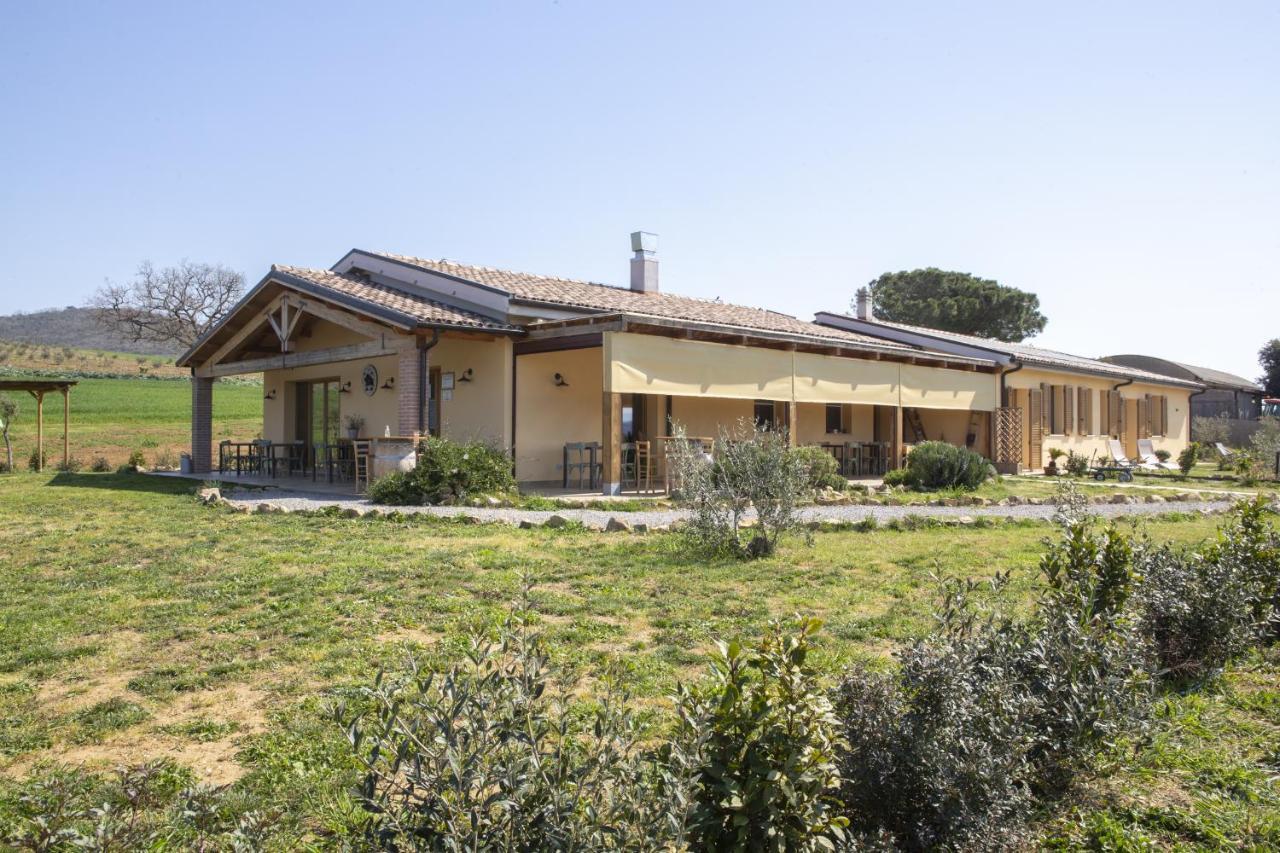 Agriturismo Casa Ricci Villa Magliano in Toscana Kültér fotó