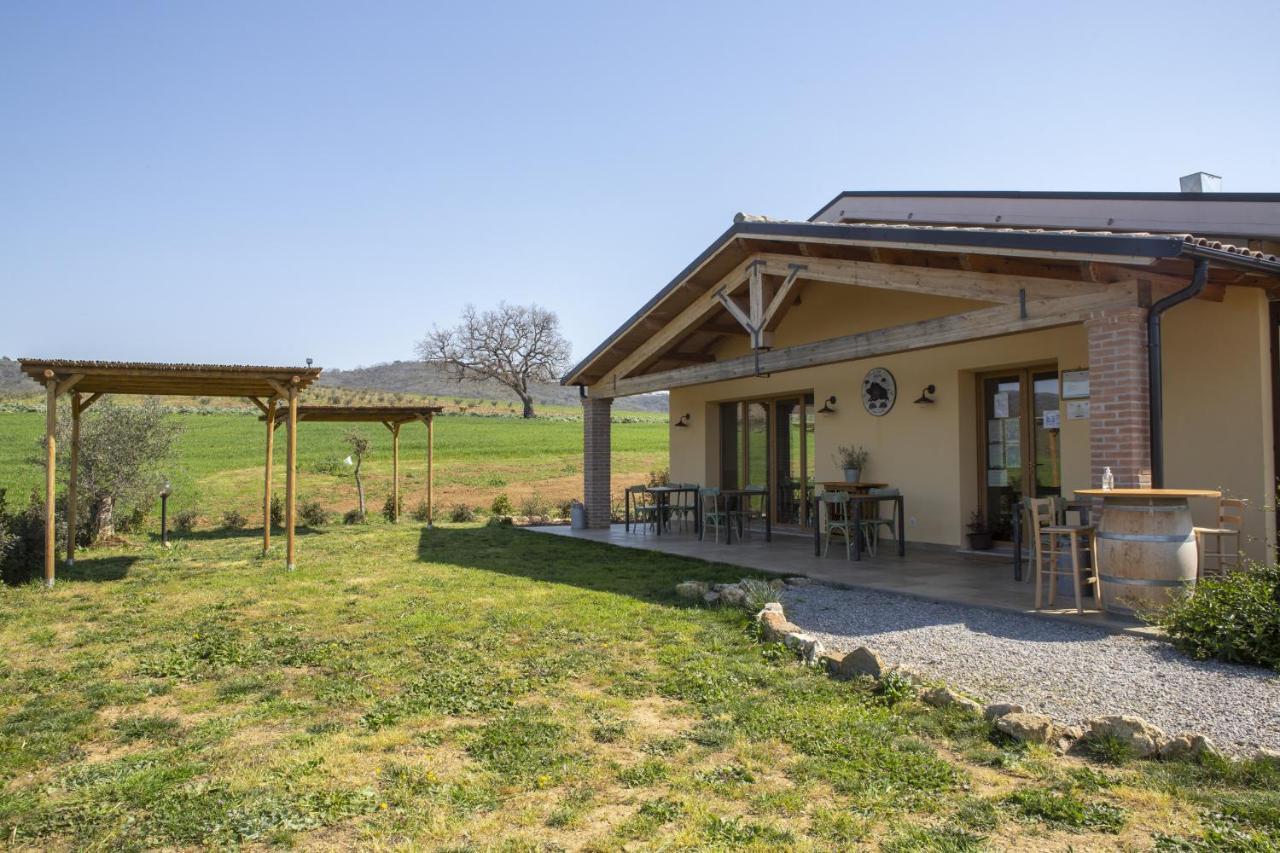 Agriturismo Casa Ricci Villa Magliano in Toscana Kültér fotó